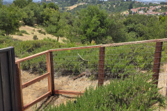 Laurelwood-HOA-in-Castro-Valley-2090021193922680808-1